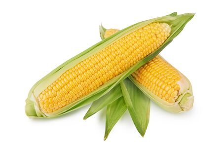 fresh corn vegetable with green leaves on whiteの写真素材