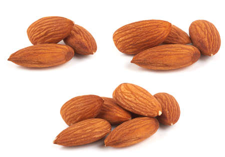 Almond isolated on white backgroundの写真素材