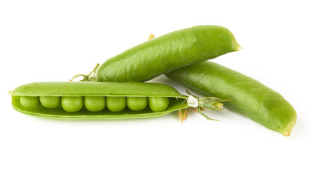 Green peas isolated on white backgroundの写真素材
