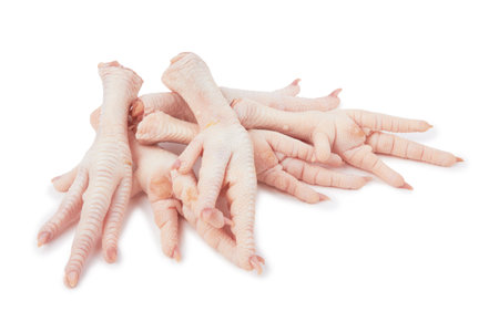 Raw chicken feet isolated on white backgroundの写真素材