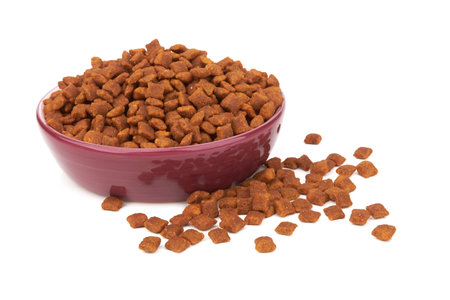 Dry pet food in bowl isolated on white backgroundの写真素材