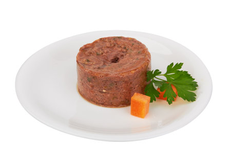 Pet food in plate isolated on white backgroundの写真素材