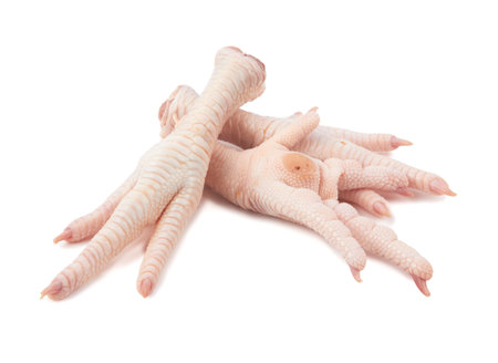 Raw chicken feet isolated on white backgroundの写真素材