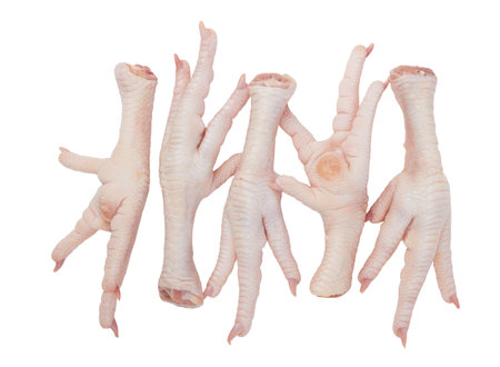 Raw chicken feet isolated on white backgroundの写真素材
