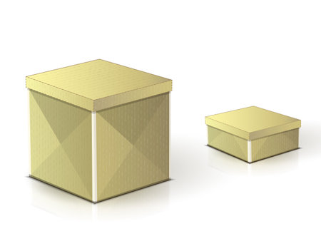 two realistic cardboard boxes on a white background with shadows and reflectionsのイラスト素材