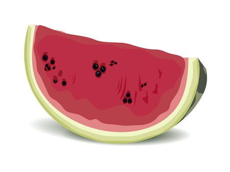 juicy, ripe, red slice of watermelon on white backgroundのイラスト素材
