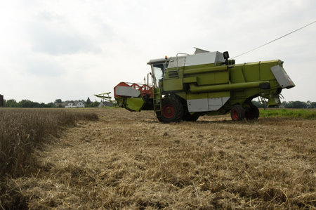 Photo of combine harvesting crops