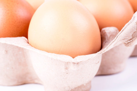 photo on the white background chicken eggs in a container