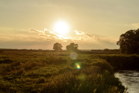 photo showing meadow on the Biebrzaの写真素材