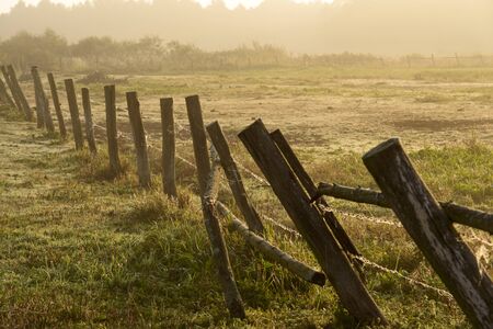 photo of the morning on a meadow Podlasieの写真素材