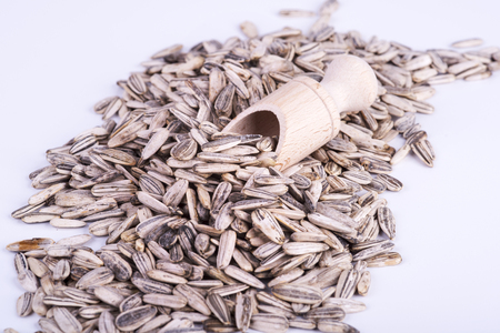 sunflower seedsの写真素材