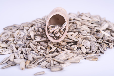 sunflower seedsの写真素材