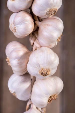 dried garlicの写真素材