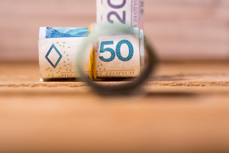 Polish zloty