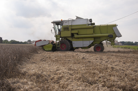 Combine harvesting cropsの写真素材
