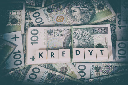 Loan Money - Polish currency