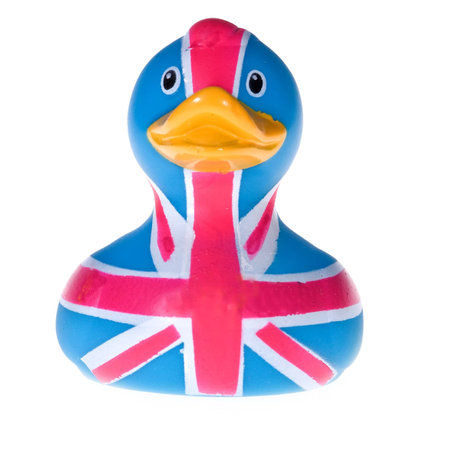 Rubber duck in white backgroundの写真素材