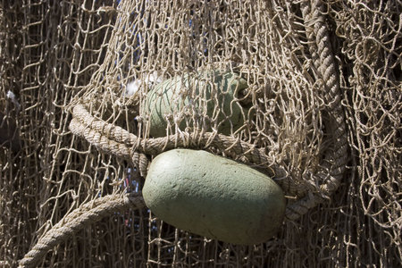 Fishing net with swimmer