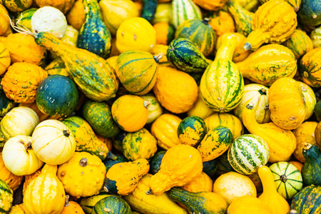 A pile of different colored pumpkins and squash. The colors include orange, white, and greenの写真素材