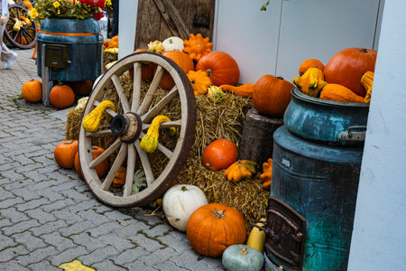 A wheelbarrow full of pumpkins and squash is sitting on the sidewalk. The pumpkins are scattered around the wheelbarrow and the groundの写真素材