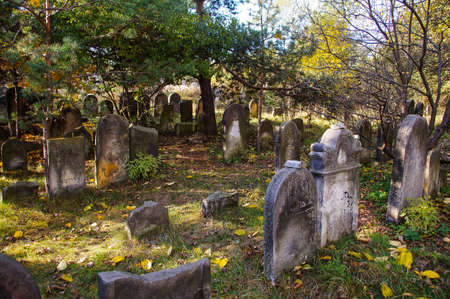 Jewish cemeteryの写真素材