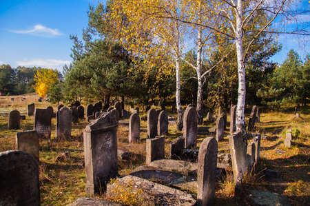 The historic Jewish cemetery Å»arki Polskaの写真素材