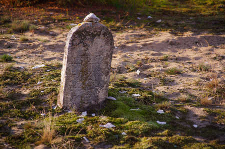 The historic Jewish cemetery Å»arki Polskaの写真素材