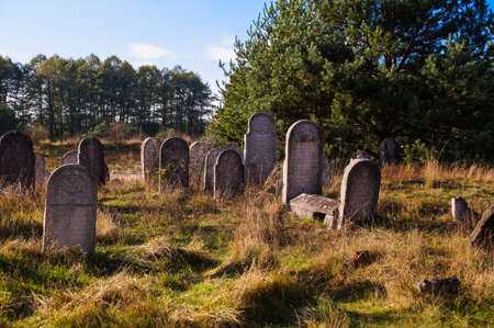 The historic Jewish cemetery Å»arki Polskaの写真素材