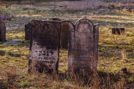 The historic Jewish cemetery Å»arki Polskaの写真素材