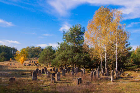 The historic Jewish cemetery Å»arki Polskaの写真素材