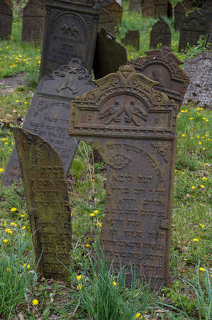 Jewish cemetery in Poland, ruins of a synagogue, cast-iron matzevotのeditorial素材