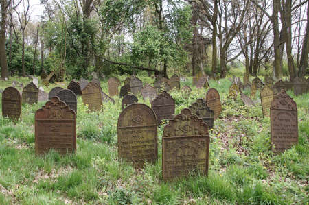 Jewish cemetery in Poland, ruins of a synagogue, cast-iron matzevotのeditorial素材