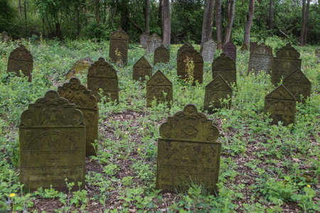 Jewish cemetery in Poland, ruins of a synagogue, cast-iron matzevotのeditorial素材