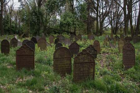 Jewish cemetery in Poland, ruins of a synagogue, cast-iron matzevot