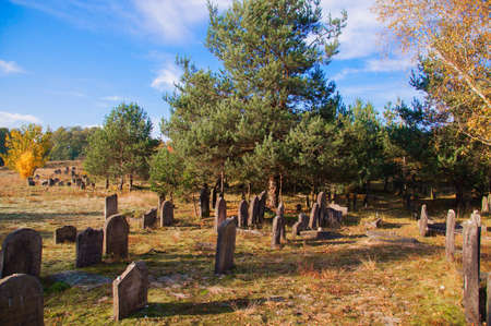 The historic Jewish cemetery Å»arki Polskaのeditorial素材