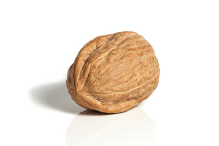 Walnut