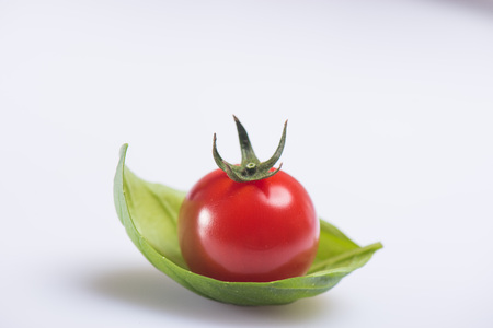 Italian IGP Tomatoes. Pomodoro di Pachino Ciliegino variety.の写真素材