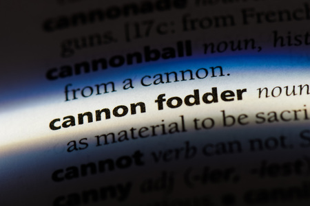 cannon folder word in a dictionary. cannon folder concept.の写真素材