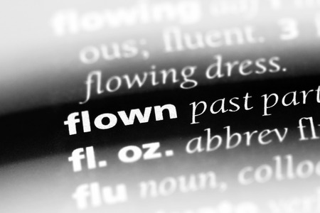 flown word in a dictionary. flown conceptの写真素材
