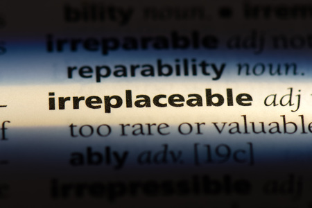 irreplaceable word in a dictionary. irreplaceable concept.の写真素材