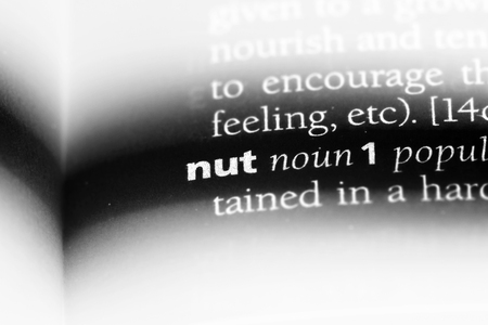 nut word in a dictionary. nut concept.の写真素材