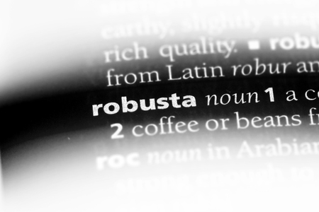 robusta word in a dictionary. robusta concept.の写真素材