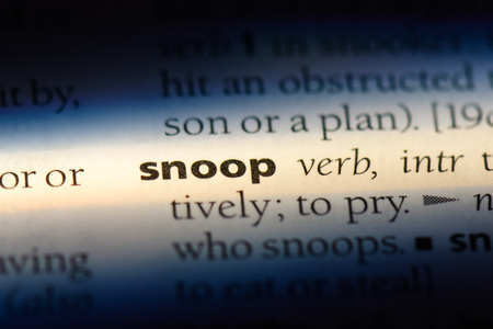 snoop word in a dictionary. snoop concept.の写真素材