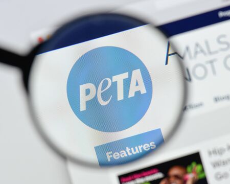 Milan, Italy - August 20, 2018: Peta website homepage. Peta logo visible.のeditorial素材