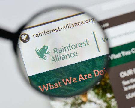 Milan, Italy - August 20, 2018: Rainforest Alliance website homepage. Rainforest Alliance logo...