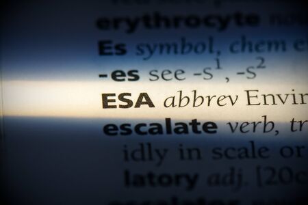 esa word in a dictionary. esa concept, definition.の写真素材