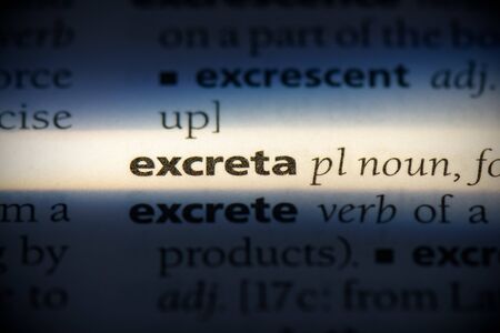 excreta word in a dictionary. excreta concept, definition.の写真素材