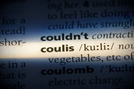 coulis word in a dictionary. coulis concept, definition.の写真素材
