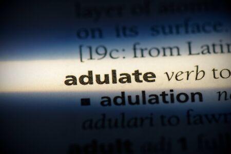 adulate word in a dictionary. adulate concept, definition.の写真素材