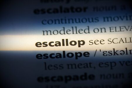 escallop word in a dictionary. escallop concept, definition.の写真素材